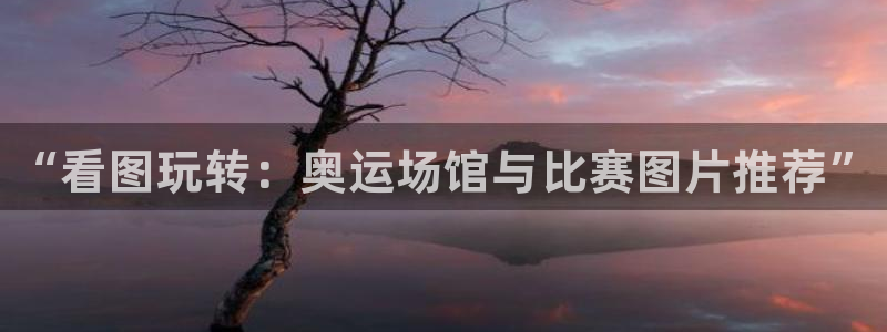 欧亿体育官方正版app娱乐下载：“看图玩转：奥运场馆与比赛图