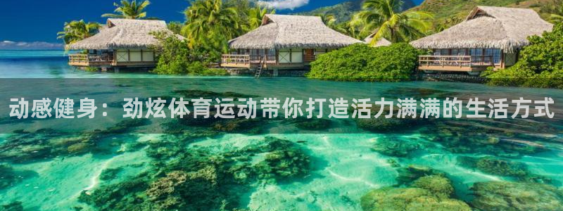 欧亿体育官方正版app集团官网网址：动感健身：劲炫体育运动带