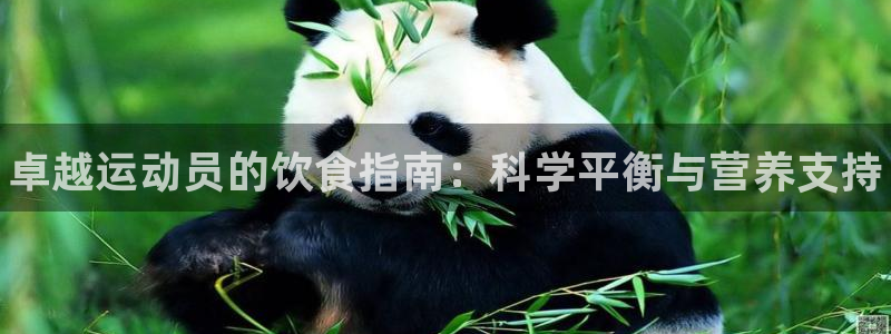 欧亿体育官方正版app集团简介：卓越运动员的饮食指南