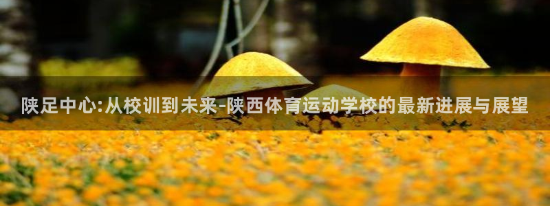 oety欧亿体育官网下载招商电话地址：陕足中心:从校