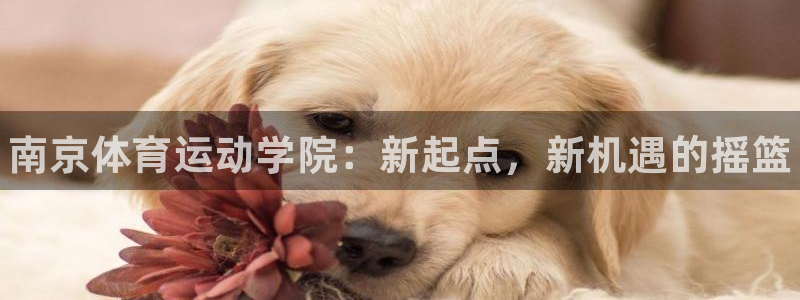欧亿体育官方正版app神州：南京体育运动学院：新起点
