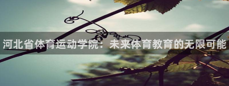 欧亿体育官方正版app集团官网网址：河北省体育运动学