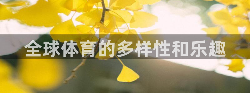 oety欧亿体育官网下载平台假的吗是真的吗：全球体育的多样性