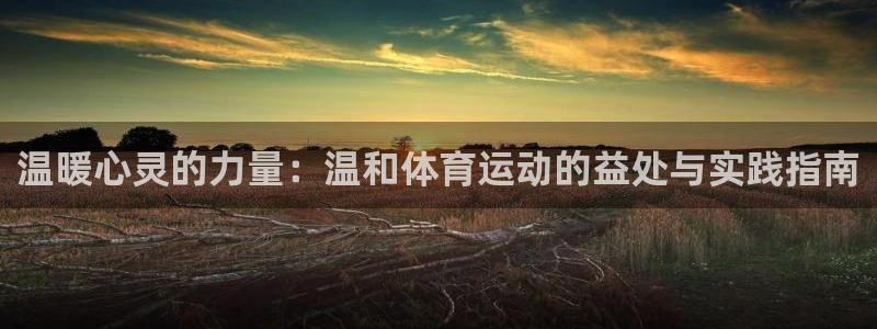oety欧亿体育官网下载平台注册：温暖心灵的力量：温