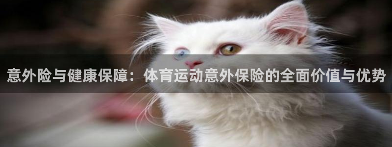 欧亿体育官方正版app集团官网网址：意外险与健康保障