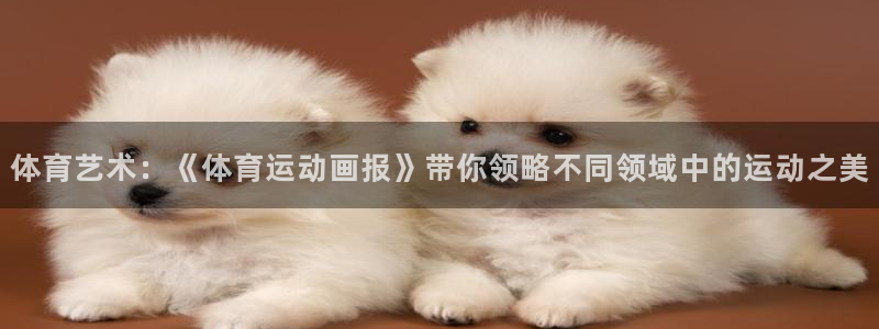 oety欧亿体育官网下载开户：体育艺术：《体育运动画