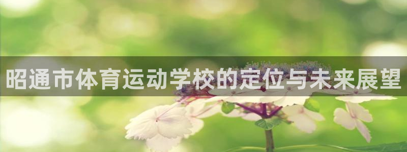 欧亿体育官方正版app娱乐首页官网下载：昭通市体育运