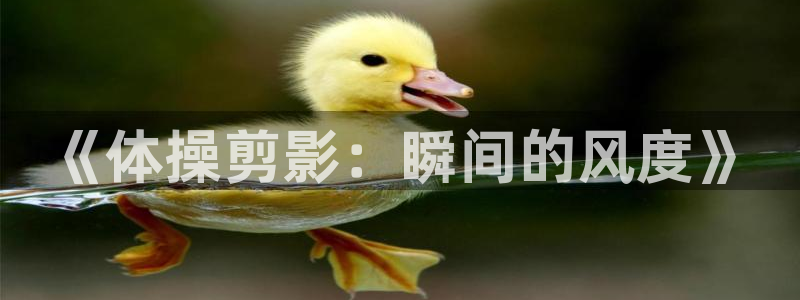 欧亿体育官方集团官网