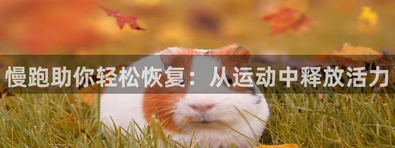oety欧亿体育：慢跑助你轻松恢复：
