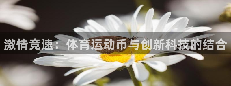 OE欧亿全站注·册：激情竞速：体育运