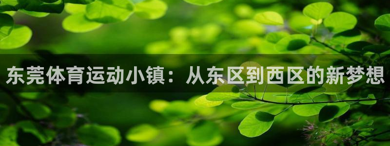 欧亿旗下有哪些平台：东莞体育运动小镇
